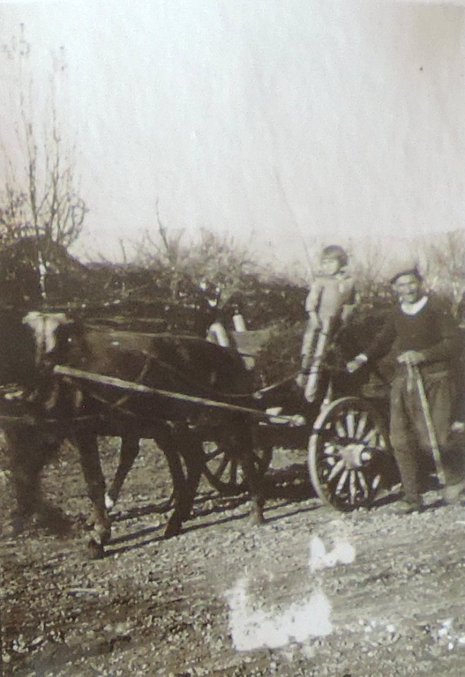 BASA-3K-7-529-17(2)-The sanitary service in the Kyustendil region in 1936