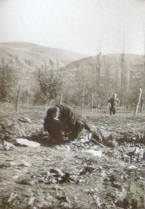 BASA-3K-7-529-18(1)-The sanitary service in the Kyustendil region in 1936