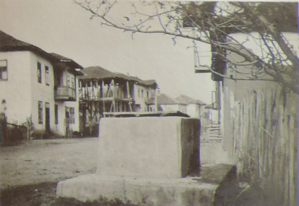 BASA-3K-7-529-19(6)-The sanitary service in the Kyustendil region in 1936