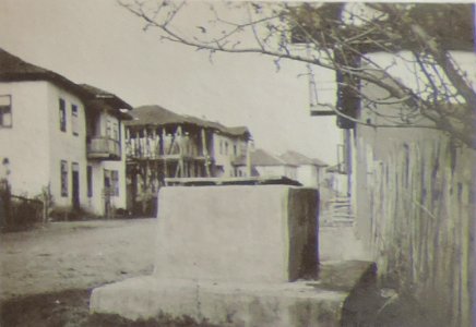BASA-3K-7-529-19(6)-The sanitary service in the Kyustendil region in 1936