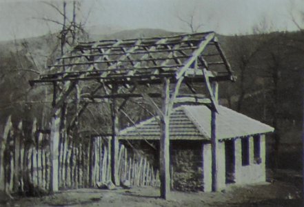 BASA-3K-7-529-13(8)-The sanitary service in the Kyustendil region in 1936