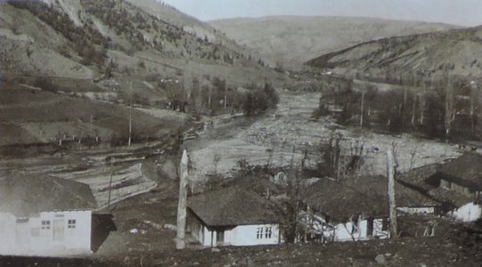 BASA-3K-7-529-10(2)-The sanitary service in the Kyustendil region in 1936