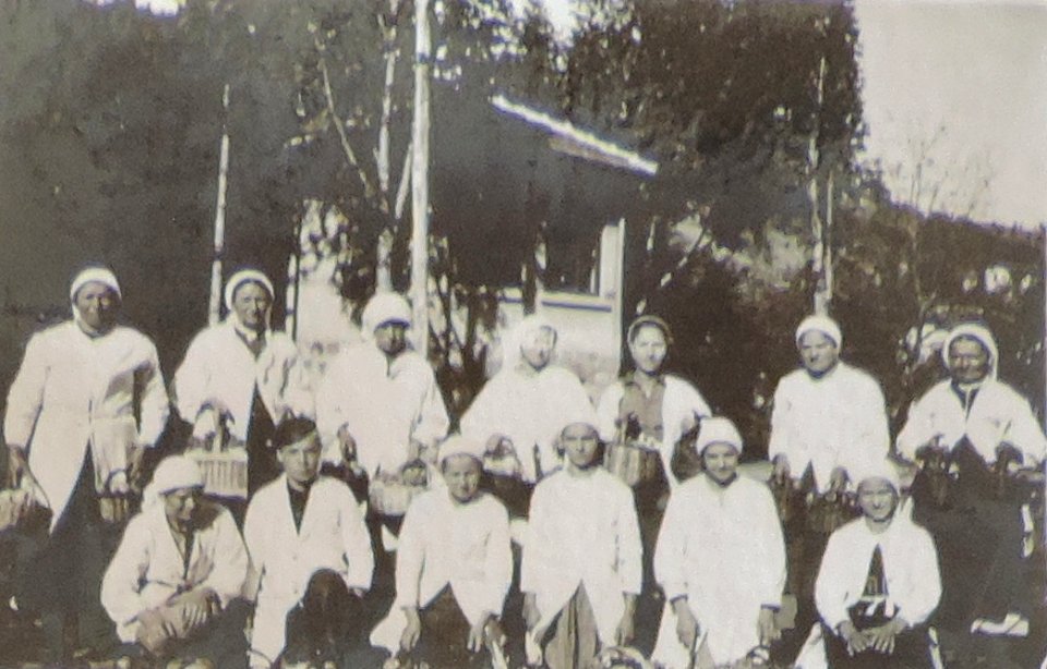 BASA-3K-7-529-21(2)-The sanitary service in the Kyustendil region in 1936
