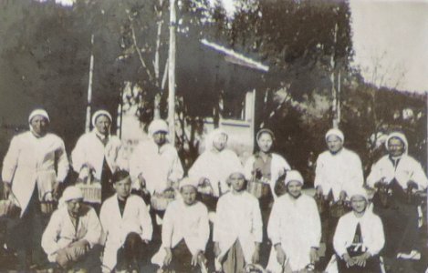 BASA-3K-7-529-21(2)-The sanitary service in the Kyustendil region in 1936