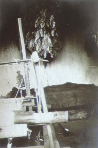 BASA-3K-7-529-14(7)-The sanitary service in the Kyustendil region in 1936