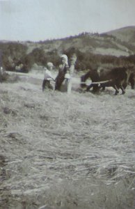 BASA-3K-7-529-22(1)-The sanitary service in the Kyustendil region in 1936