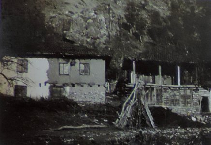 BASA-3K-7-529-12(1)-The sanitary service in the Kyustendil region in 1936