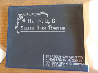 BASA-3K-7-529-01(2)-The sanitary service in the Kyustendil region in 1936