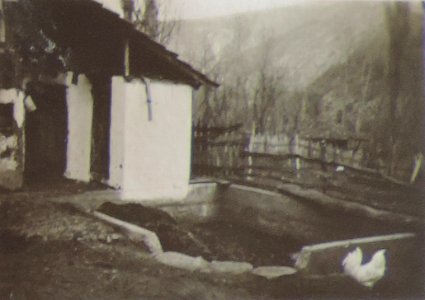 BASA-3K-7-529-16(6)-The sanitary service in the Kyustendil region in 1936