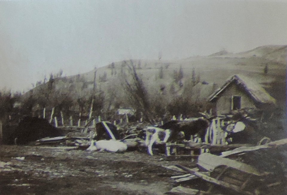 BASA-3K-7-529-10(3)-The sanitary service in the Kyustendil region in 1936