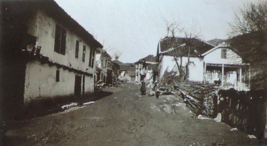 BASA-3K-7-529-11(2)-The sanitary service in the Kyustendil region in 1936