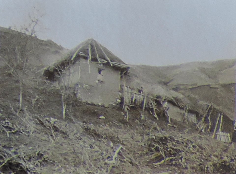 BASA-3K-7-529-10(8)-The sanitary service in the Kyustendil region in 1936