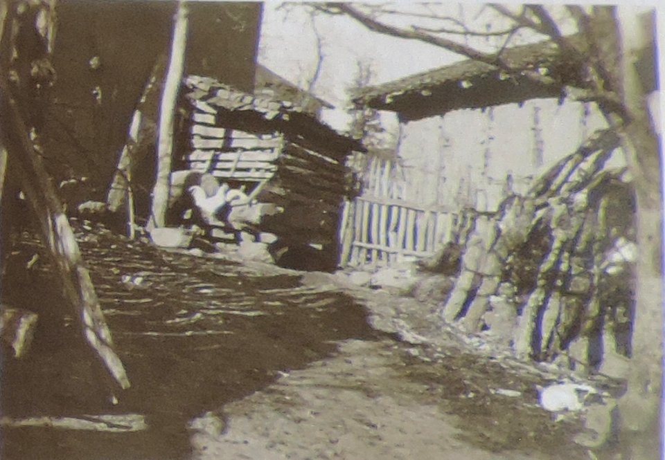 BASA-3K-7-529-17(6)-The sanitary service in the Kyustendil region in 1936