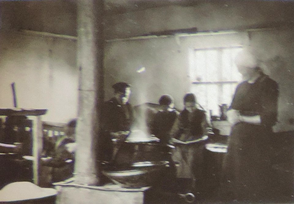 BASA-3K-7-529-14(1)-The sanitary service in the Kyustendil region in 1936