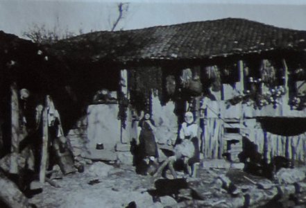 BASA-3K-7-529-13(7)-The sanitary service in the Kyustendil region in 1936