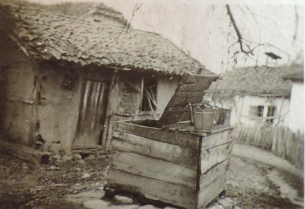 BASA-3K-7-529-18(5)-The sanitary service in the Kyustendil region in 1936