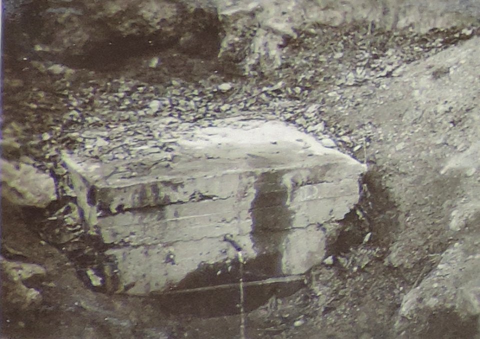 BASA-3K-7-529-19(4)-The sanitary service in the Kyustendil region in 1936