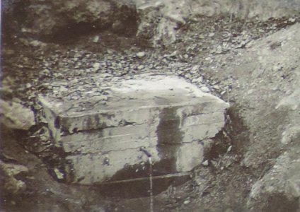 BASA-3K-7-529-19(4)-The sanitary service in the Kyustendil region in 1936