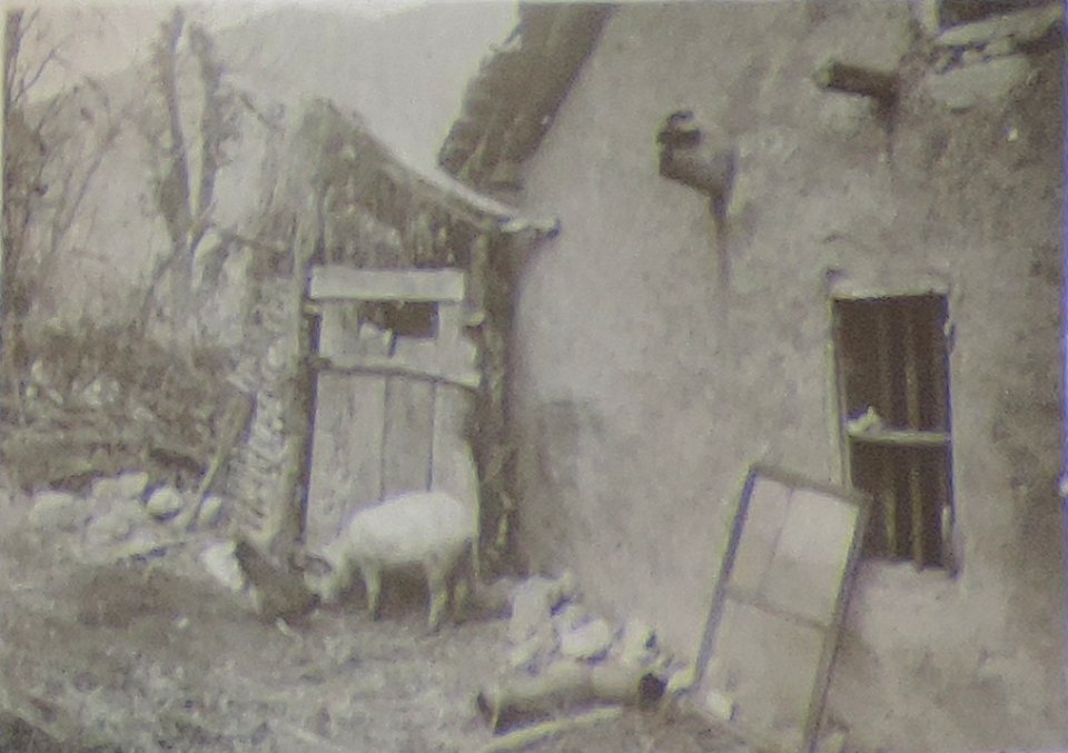 BASA-3K-7-529-16(8)-The sanitary service in the Kyustendil region in 1936