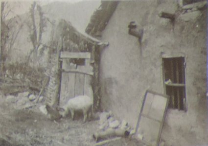 BASA-3K-7-529-16(8)-The sanitary service in the Kyustendil region in 1936