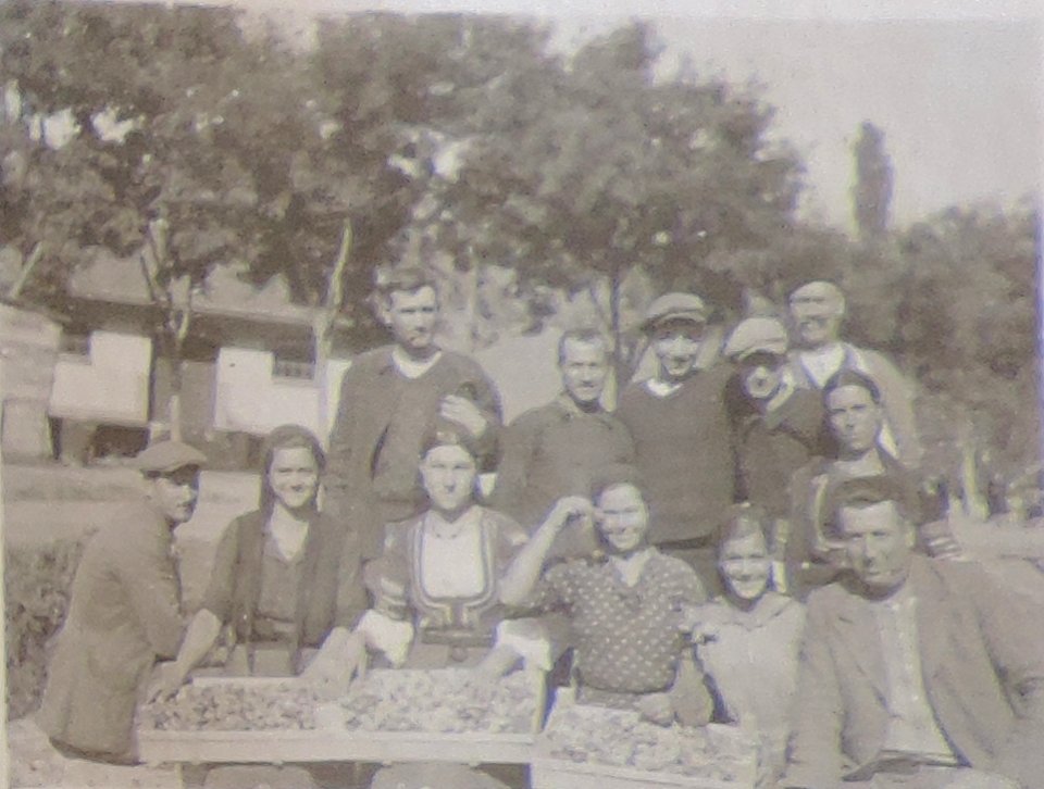 BASA-3K-7-529-21(6)-The sanitary service in the Kyustendil region in 1936