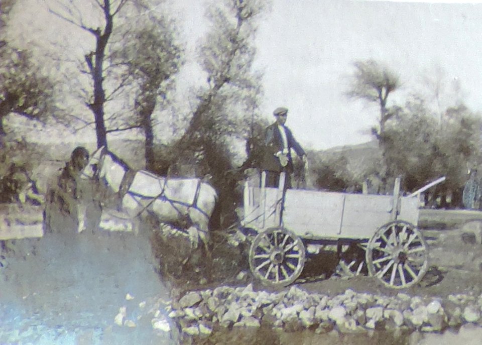 BASA-3K-7-529-17(7)-The sanitary service in the Kyustendil region in 1936