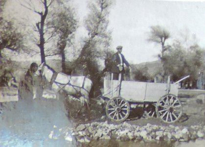 BASA-3K-7-529-17(7)-The sanitary service in the Kyustendil region in 1936