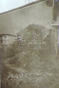 BASA-3K-7-529-17(4)-The sanitary service in the Kyustendil region in 1936