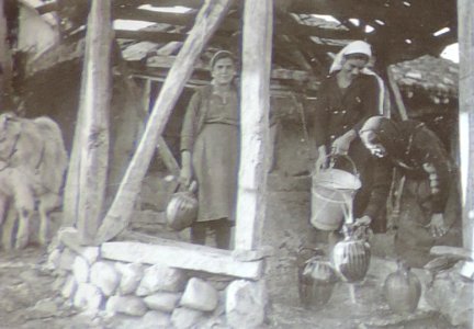 BASA-3K-7-529-18(3)-The sanitary service in the Kyustendil region in 1936