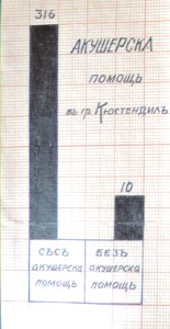 BASA-3K-7-529-23(4)-The sanitary service in the Kyustendil region in 1936