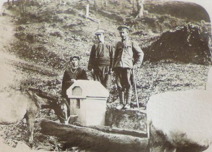 BASA-3K-7-529-19(2)-The sanitary service in the Kyustendil region in 1936