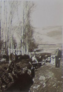BASA-3K-7-529-20(3)-The sanitary service in the Kyustendil region in 1936