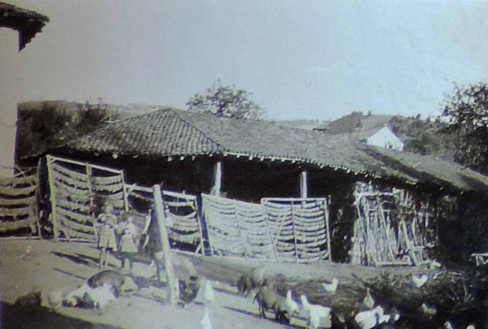 BASA-3K-7-529-12(7)-The sanitary service in the Kyustendil region in 1936