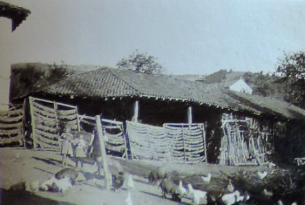 BASA-3K-7-529-12(7)-The sanitary service in the Kyustendil region in 1936