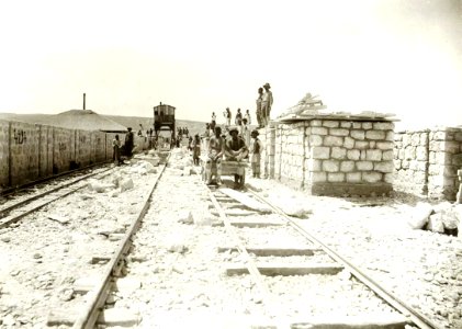 BASA-48K-1-37-7-Varna