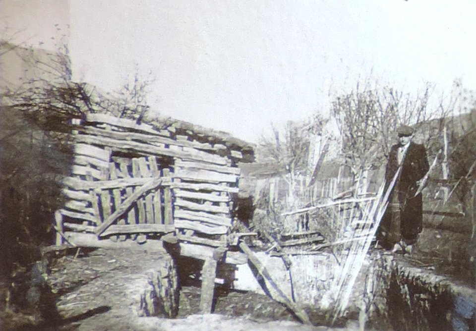 BASA-3K-7-529-17(3)-The sanitary service in the Kyustendil region in 1936