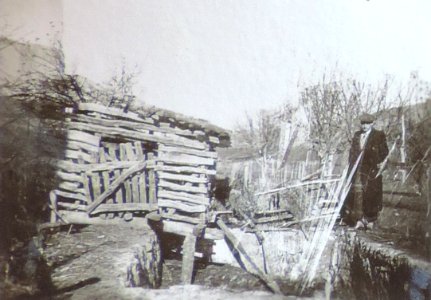 BASA-3K-7-529-17(3)-The sanitary service in the Kyustendil region in 1936