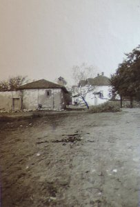 BASA-3K-7-529-11(4)-The sanitary service in the Kyustendil region in 1936