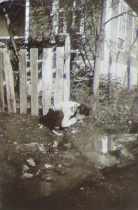 BASA-3K-7-529-18(2)-The sanitary service in the Kyustendil region in 1936