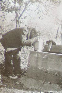 BASA-3K-7-529-19(1)-The sanitary service in the Kyustendil region in 1936