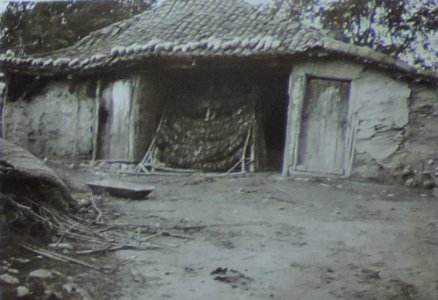 BASA-3K-7-529-13(3)-The sanitary service in the Kyustendil region in 1936