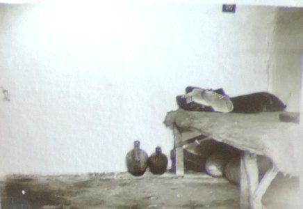 BASA-3K-7-529-14(3)-The sanitary service in the Kyustendil region in 1936