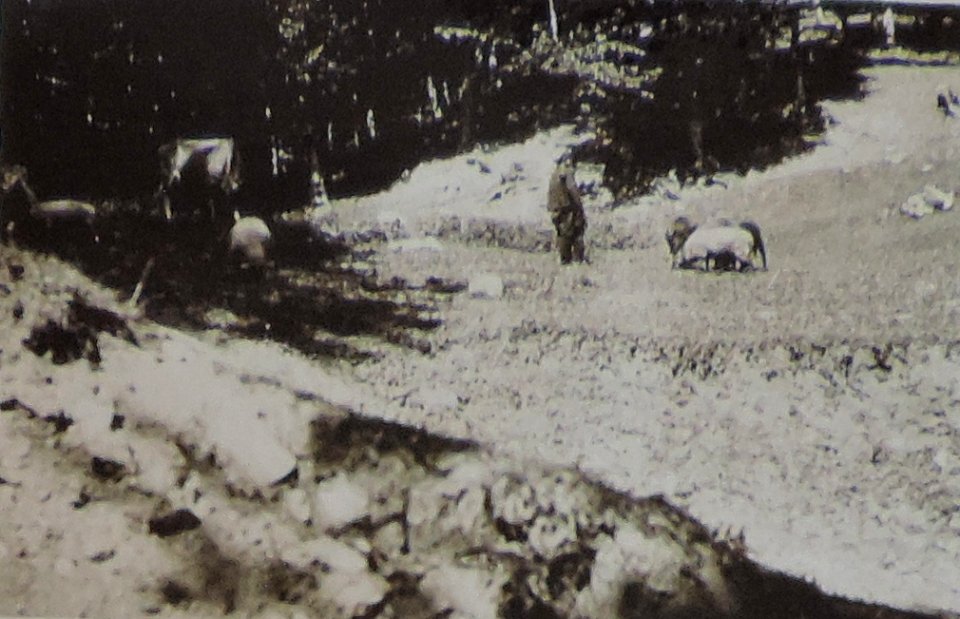 BASA-3K-7-529-22(2)-The sanitary service in the Kyustendil region in 1936