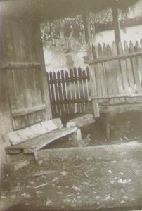 BASA-3K-7-529-17(1)-The sanitary service in the Kyustendil region in 1936