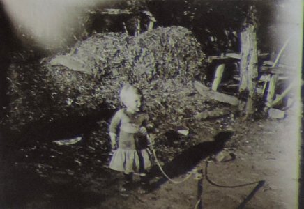 BASA-3K-7-529-22(8)-The sanitary service in the Kyustendil region in 1936