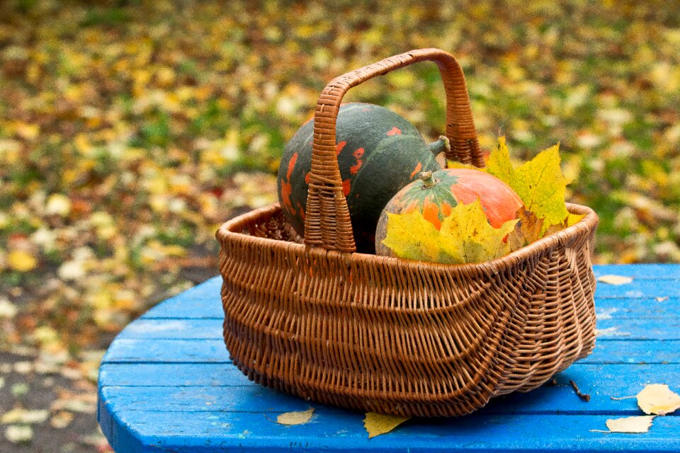 Basket leaves yellow