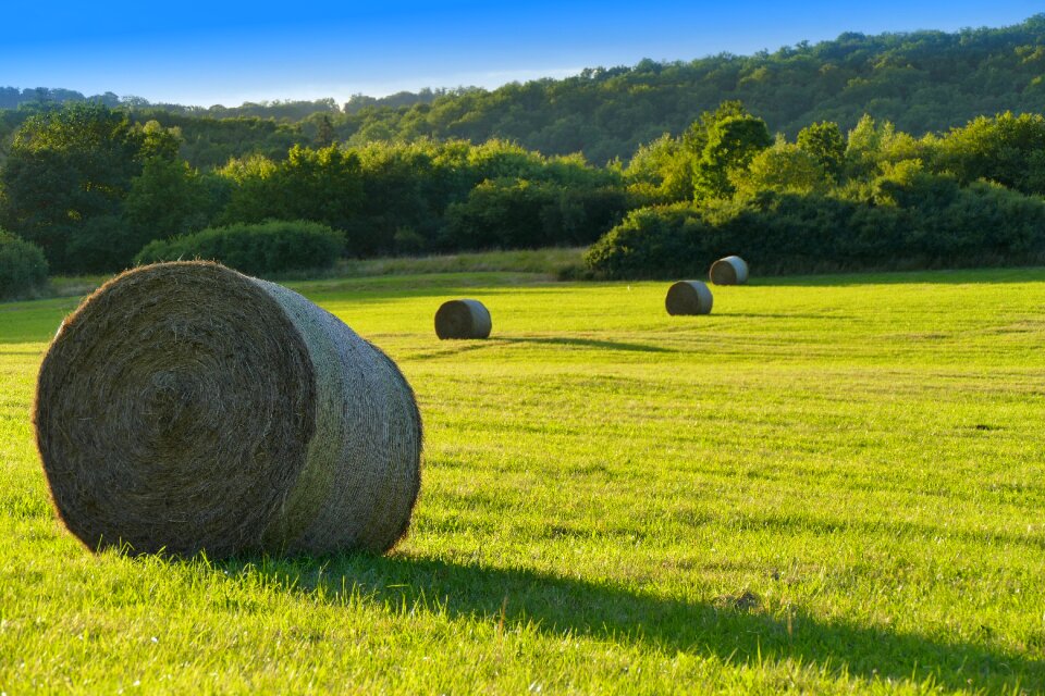 Agriculture field farm