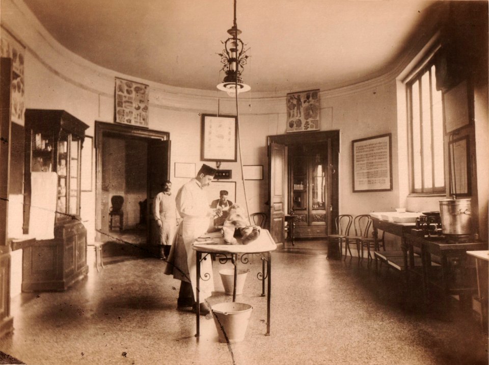 BASA-3K-7-530-8-Salle d'Autopsie, Institut Medico-Legal, Bucarest