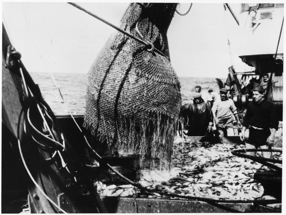 Belgium. The Marshall Plan has helped repair the ruined docks and wharves of Ostende, one of Belgium's principal... - NARA - 541660