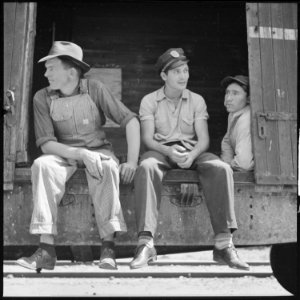 Between Bakersfield and Fresno, California. On the Freights. Mixed trio riding a freight. All in their twenties, all... - NARA - 532074 photo